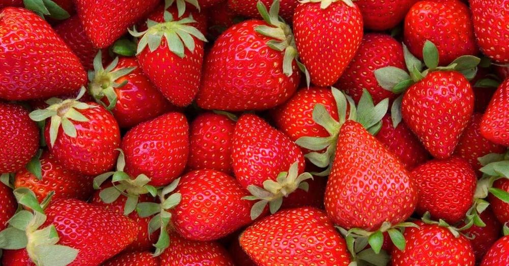 strawberrywitchbitch OnlyFans profile picture