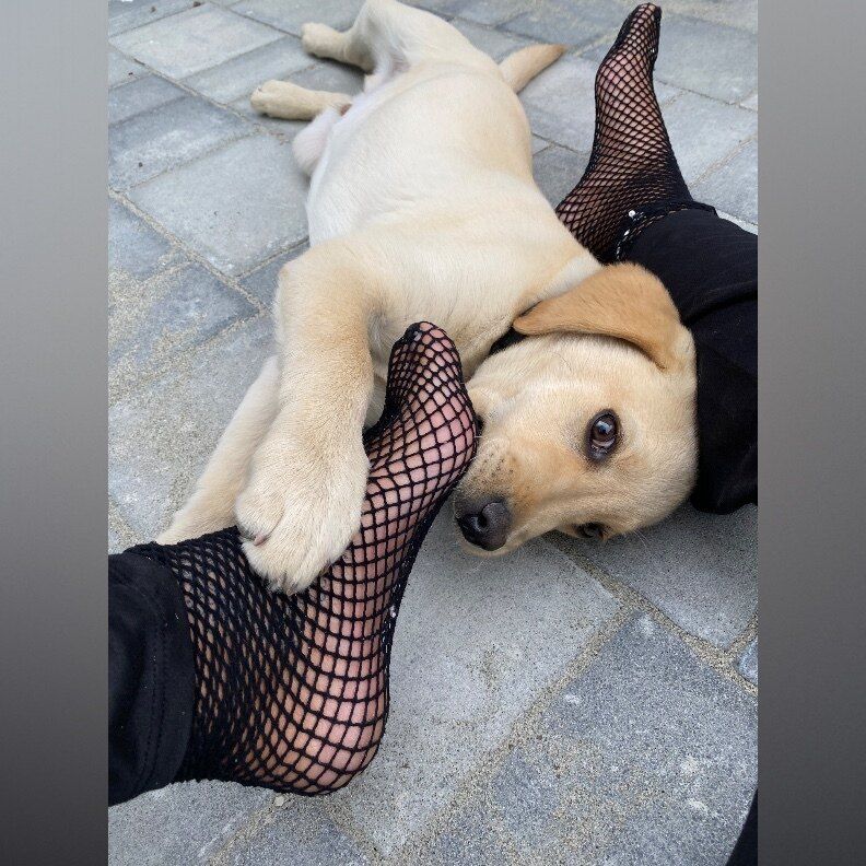 piccolawendy OnlyFans profile picture