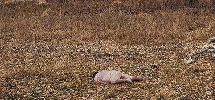 violentwafflez OnlyFans picture