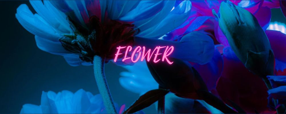 thewildflowerrr OnlyFans profile picture