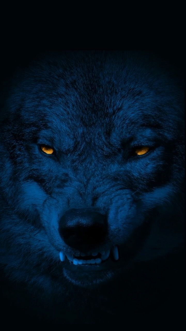 phoenixwolf397 OnlyFans profile picture