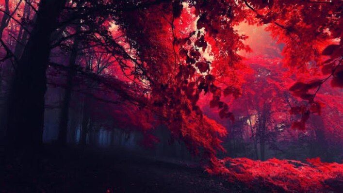 crimsonflvmexoxo OnlyFans profile picture