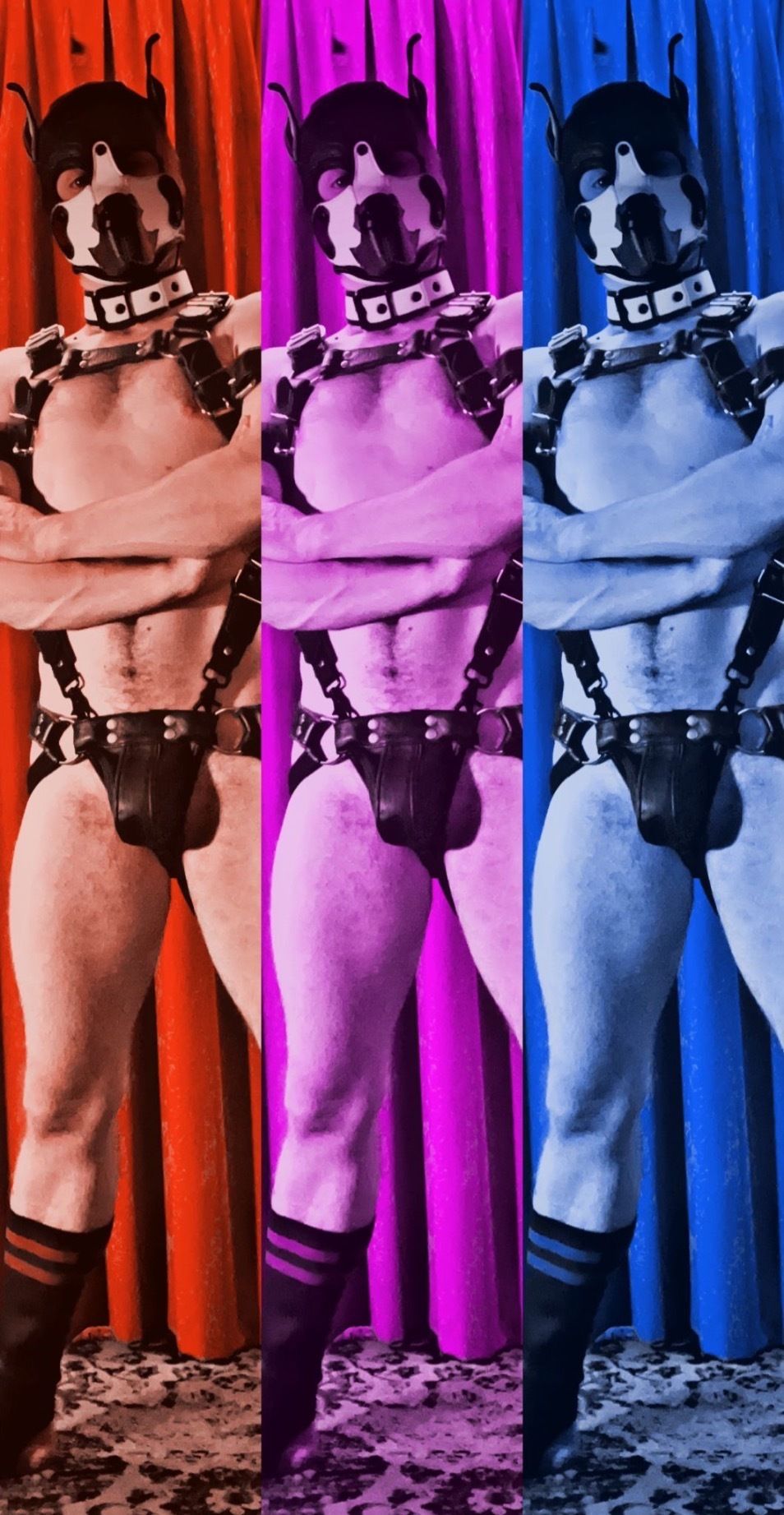 hausofcorvyx OnlyFans profile picture