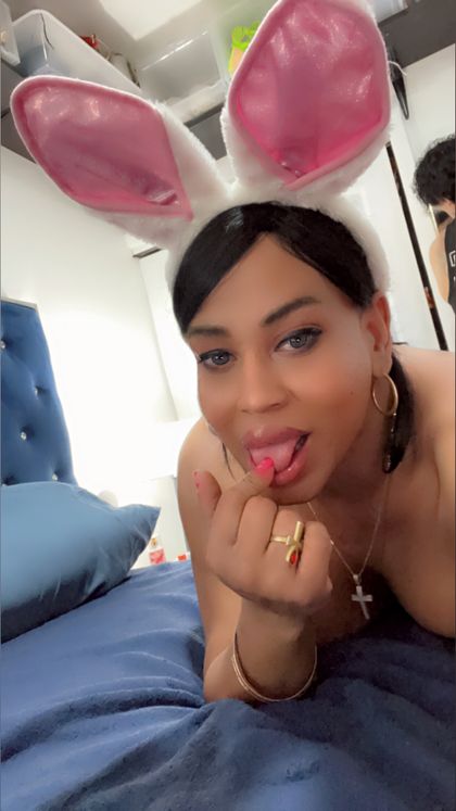 mulatica00 OnlyFans picture