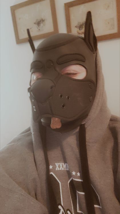 onyx_the_pup OnlyFans picture