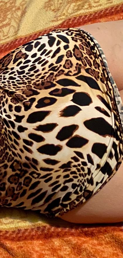 spankmybigass OnlyFans picture