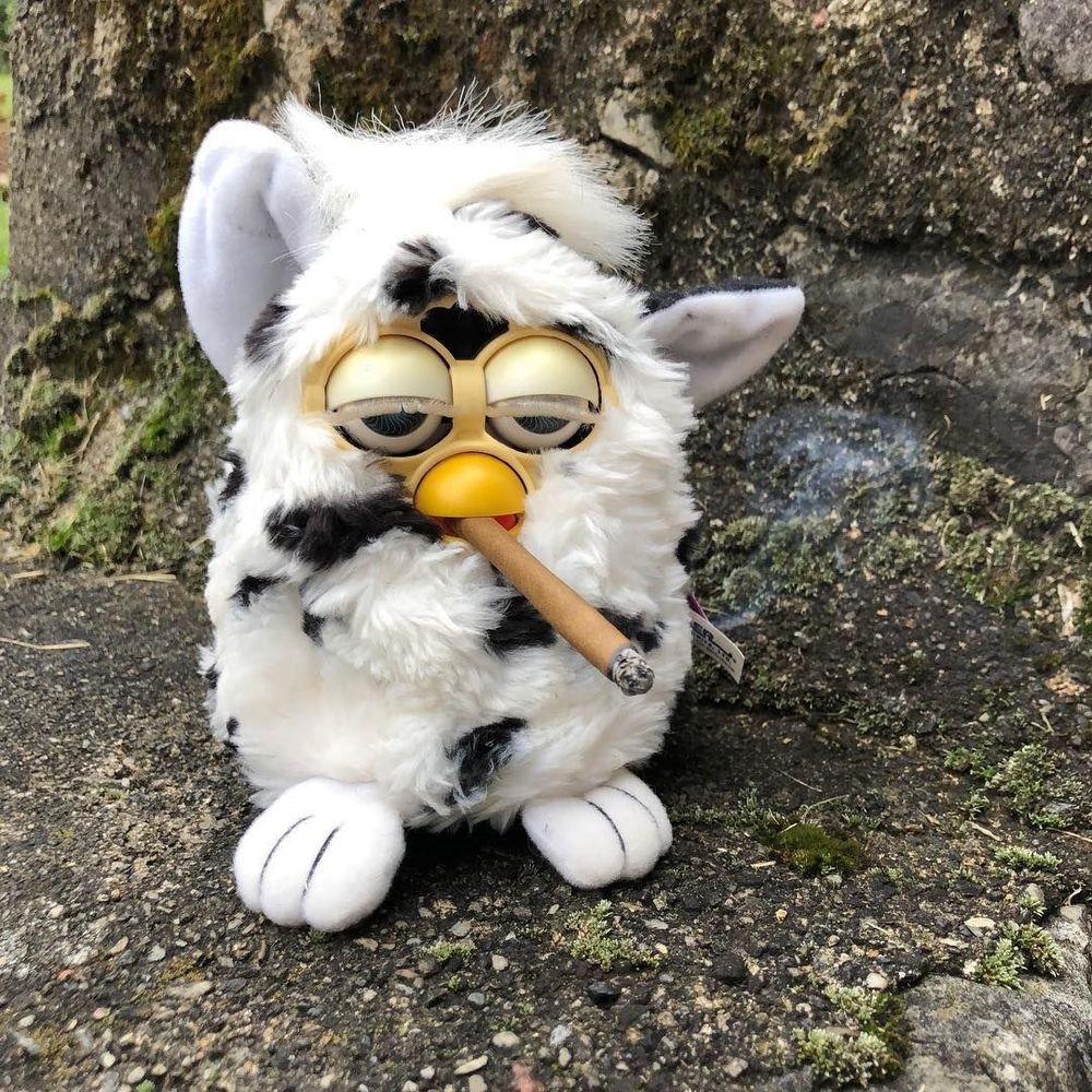 noiboi OnlyFans profile picture