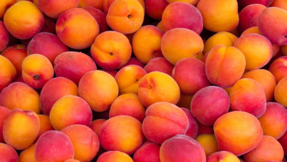 peached.babee OnlyFans profile picture