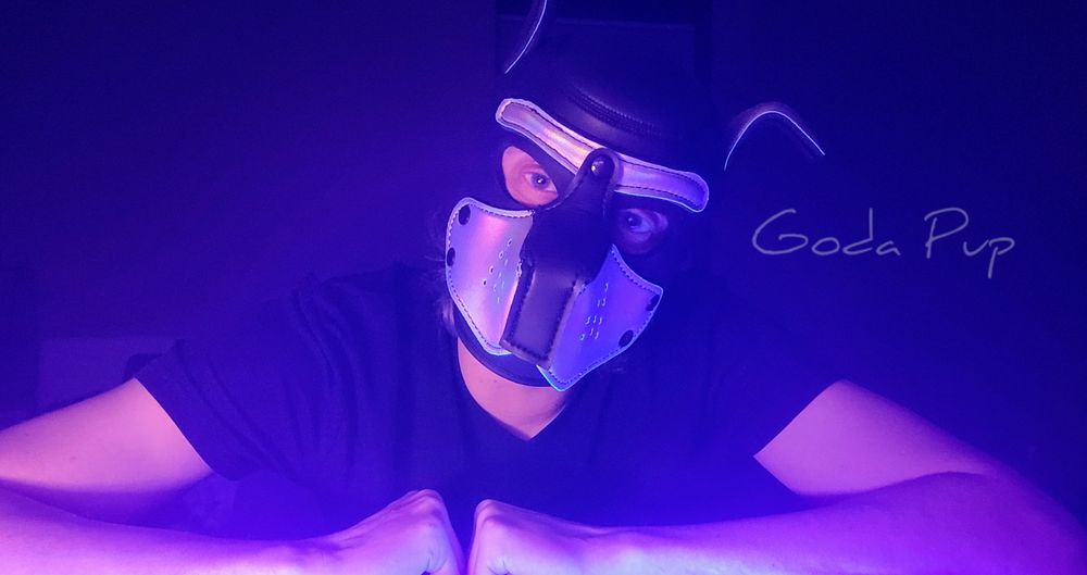 godapupfree OnlyFans profile picture
