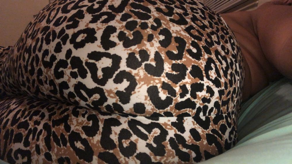 u49741753 OnlyFans profile picture