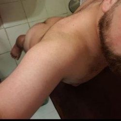Greek Scandalous Bear