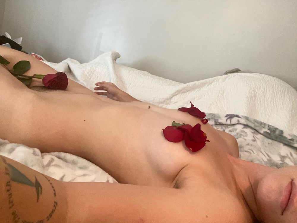 katesteele99vip OnlyFans profile picture