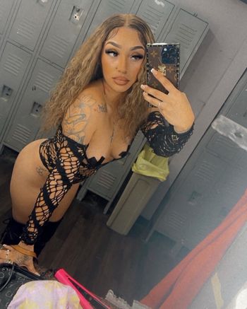 Cyn Bvd