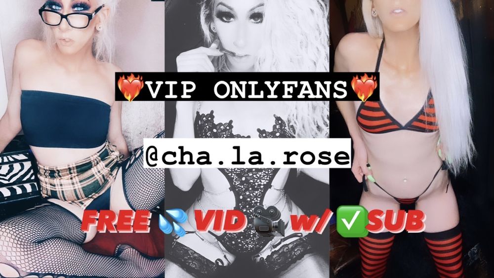 cha.la.rose OnlyFans profile picture