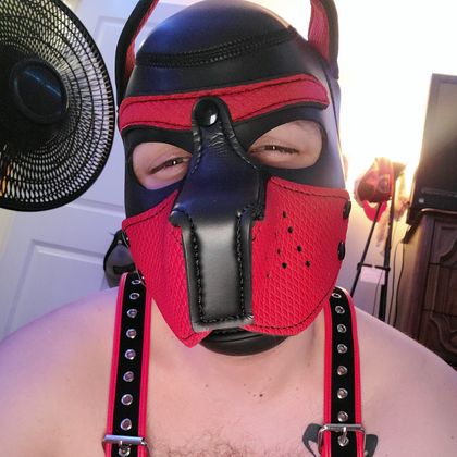 pup_merlin OnlyFans picture