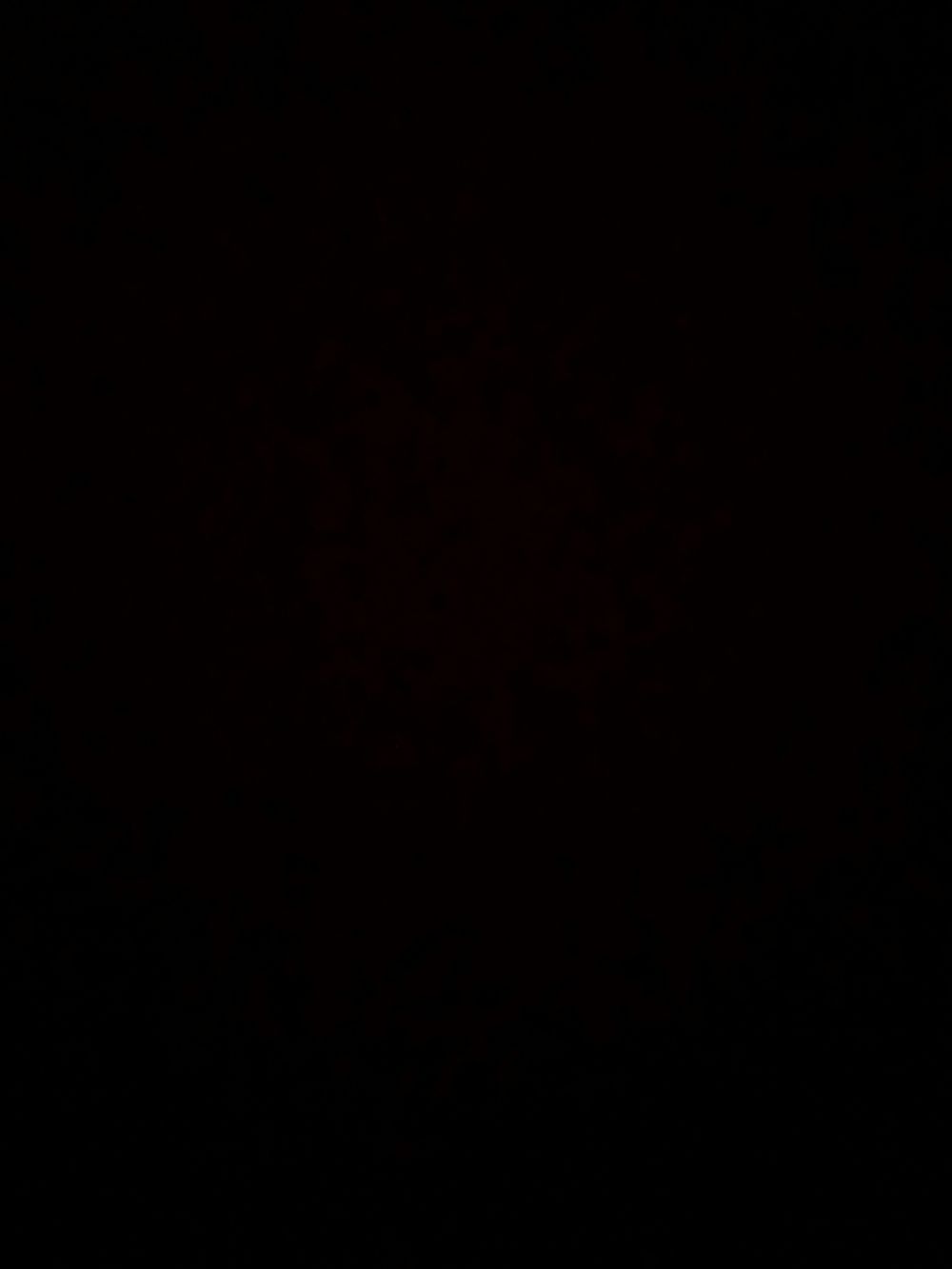 bigdaaawg OnlyFans profile picture