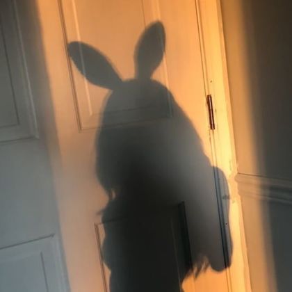 lynabunni OnlyFans picture