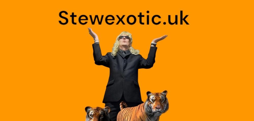 stewexotic OnlyFans profile picture