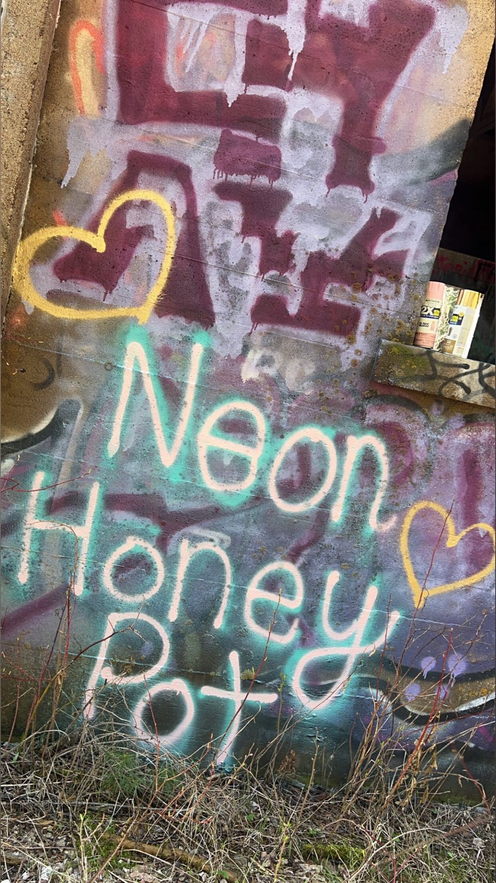 neonhoneypot OnlyFans profile picture