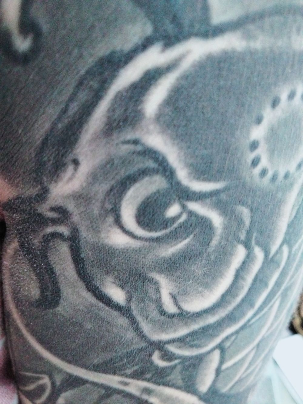 koi_lotus OnlyFans profile picture
