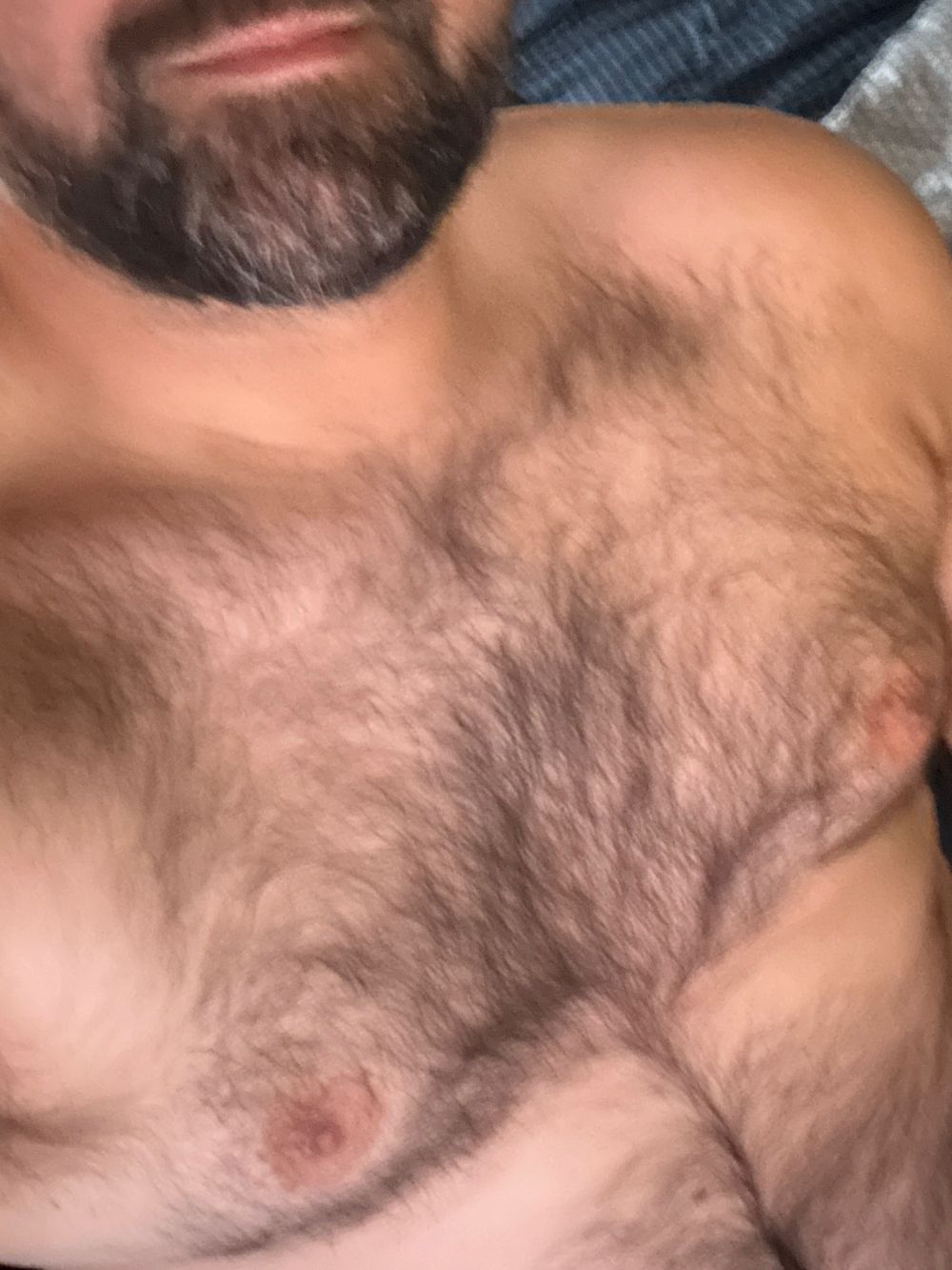 mountain_bear88 OnlyFans profile picture