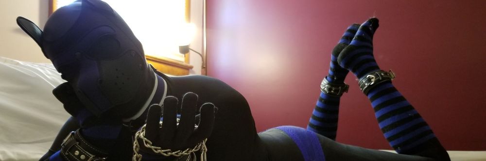 encasedzentaig1 OnlyFans profile picture
