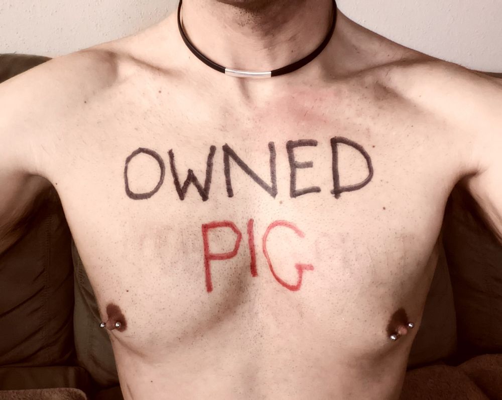 ladyheraspig OnlyFans profile picture