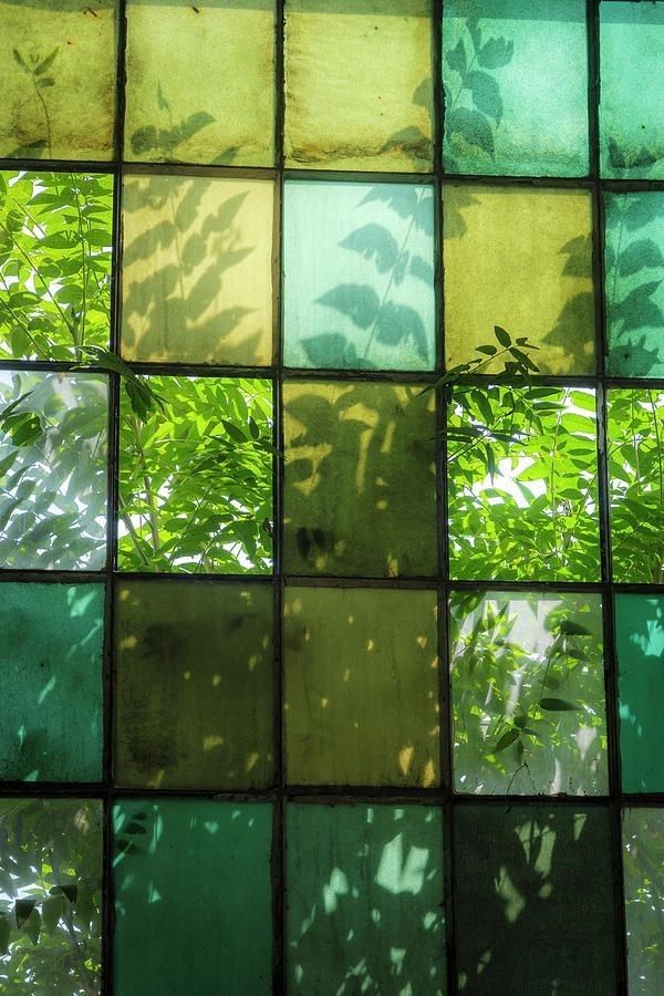 honeeyglazed OnlyFans profile picture