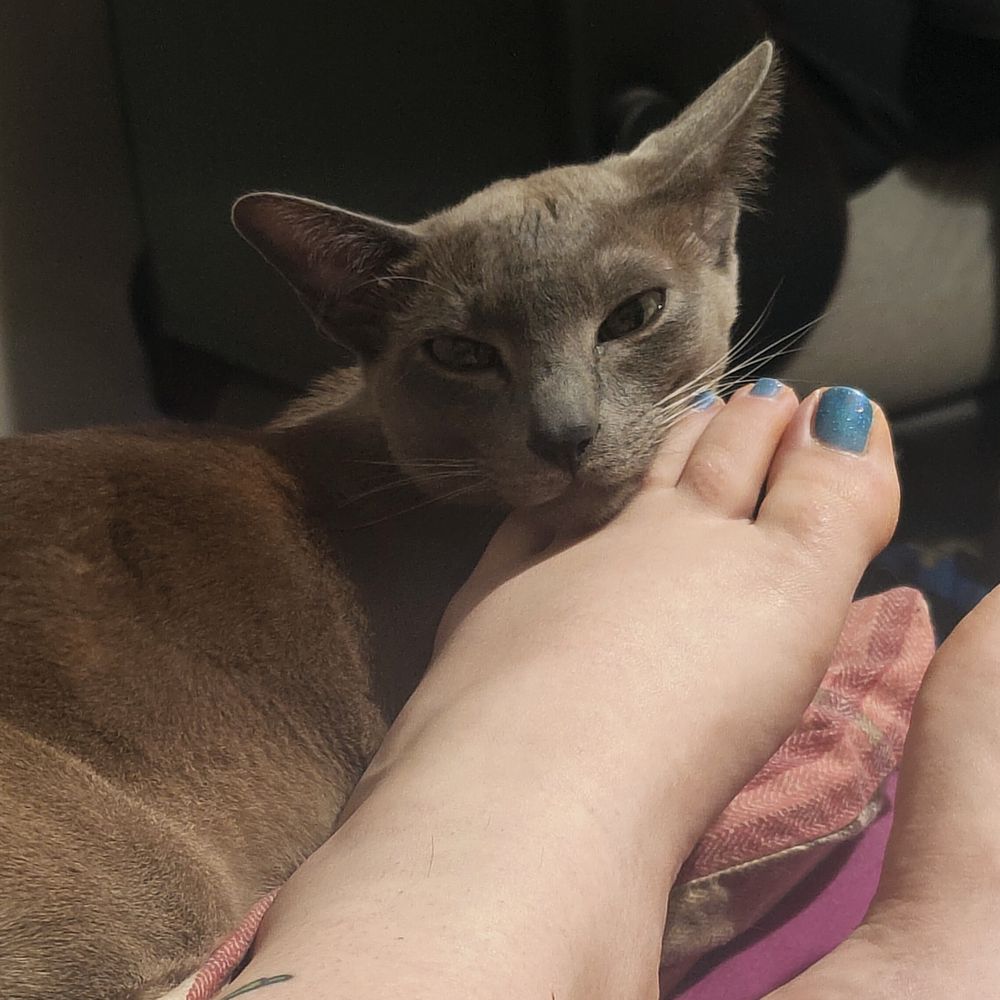 sweet_and_spicefeet OnlyFans profile picture