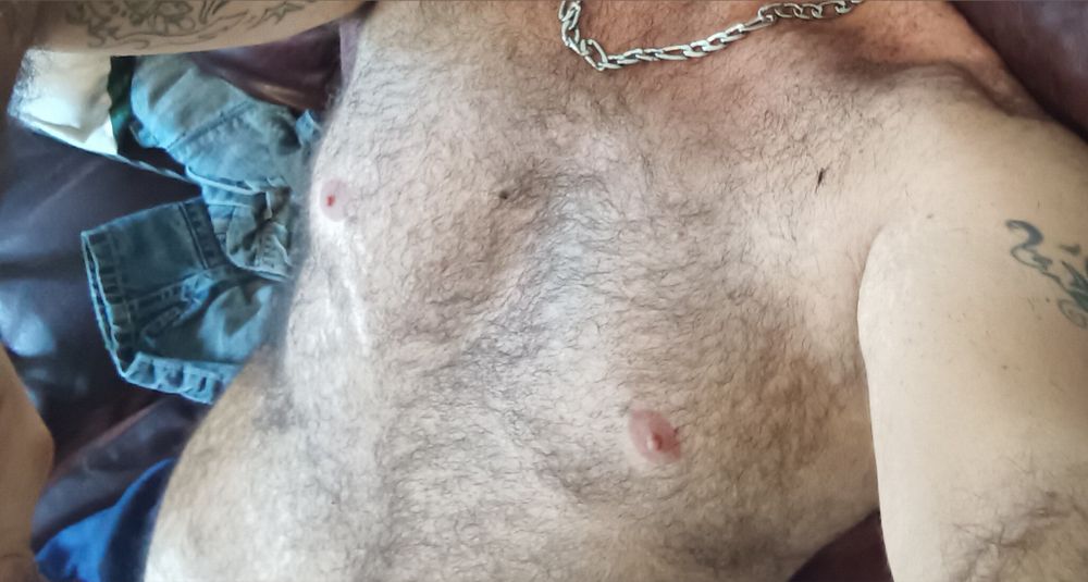 bearfr40 OnlyFans profile picture