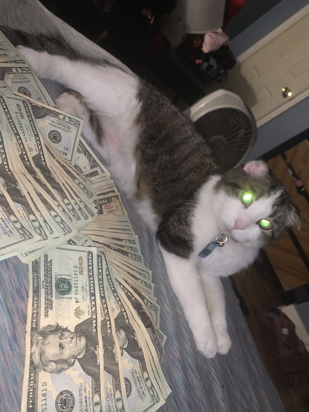 bigtitsimone OnlyFans profile picture