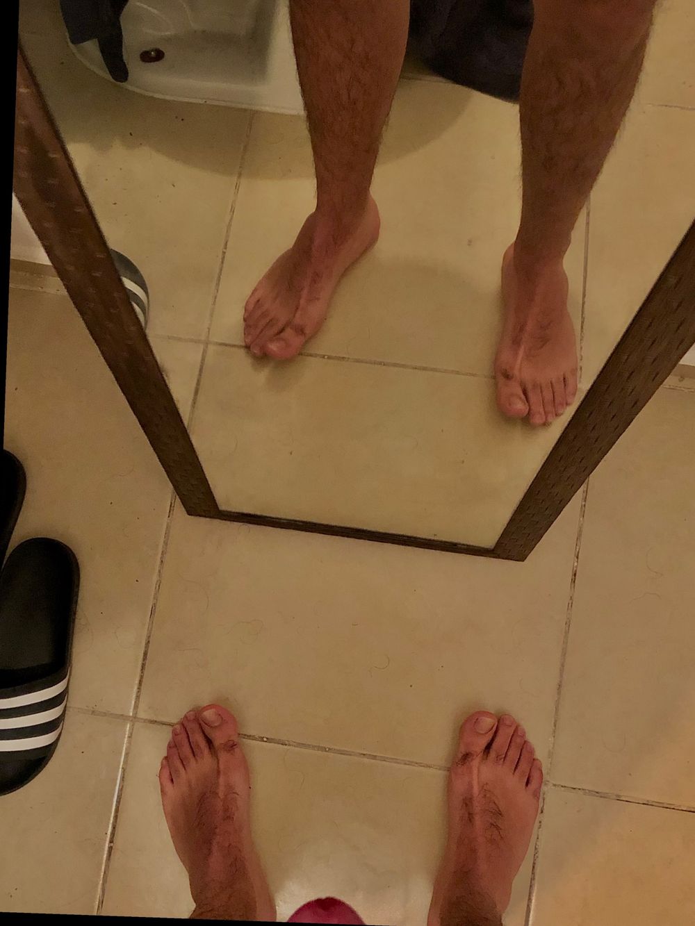 nandoistheking OnlyFans profile picture