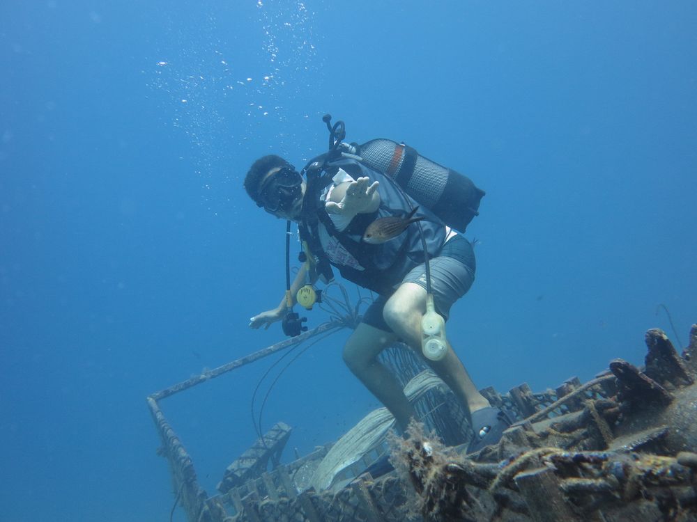 berkaydiver OnlyFans profile picture