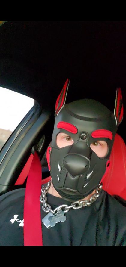 ozkarthepup OnlyFans picture