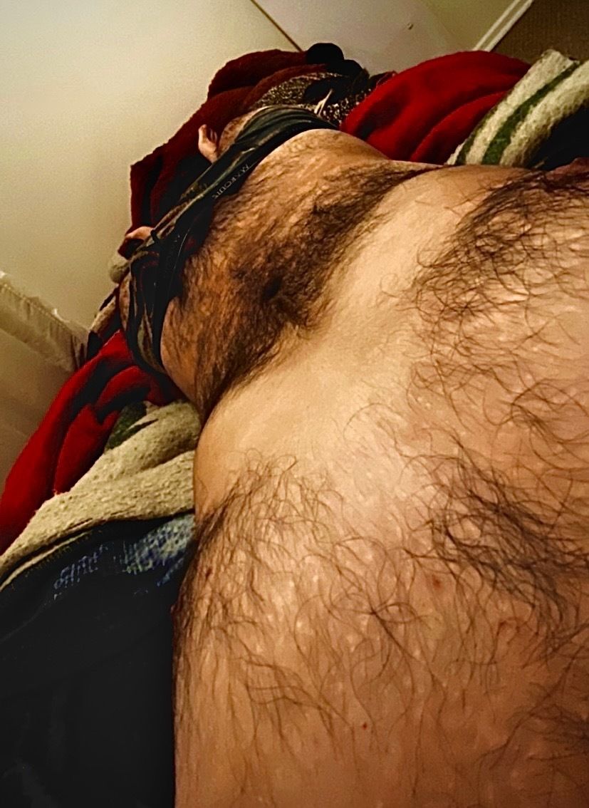 justteddybear OnlyFans profile picture