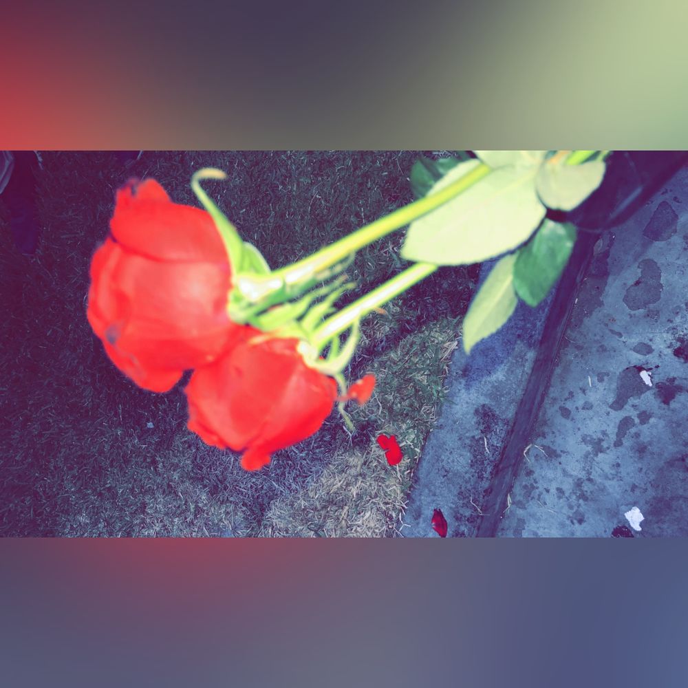 u96075227 OnlyFans profile picture
