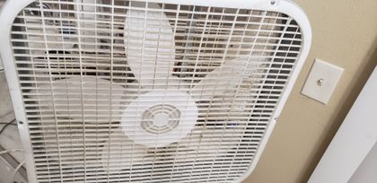 fansonly_spinner OnlyFans picture