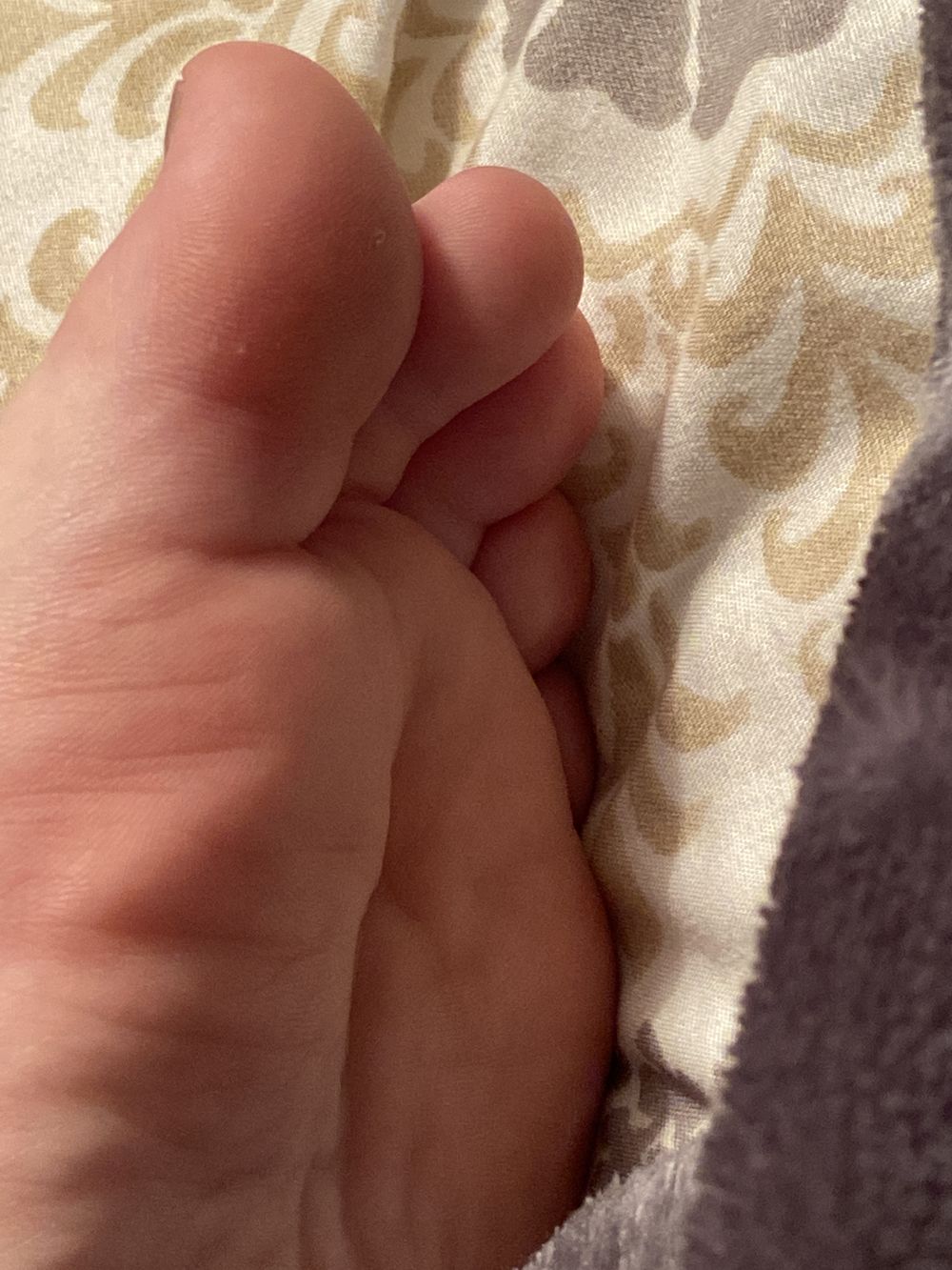 daisyrenalds OnlyFans profile picture