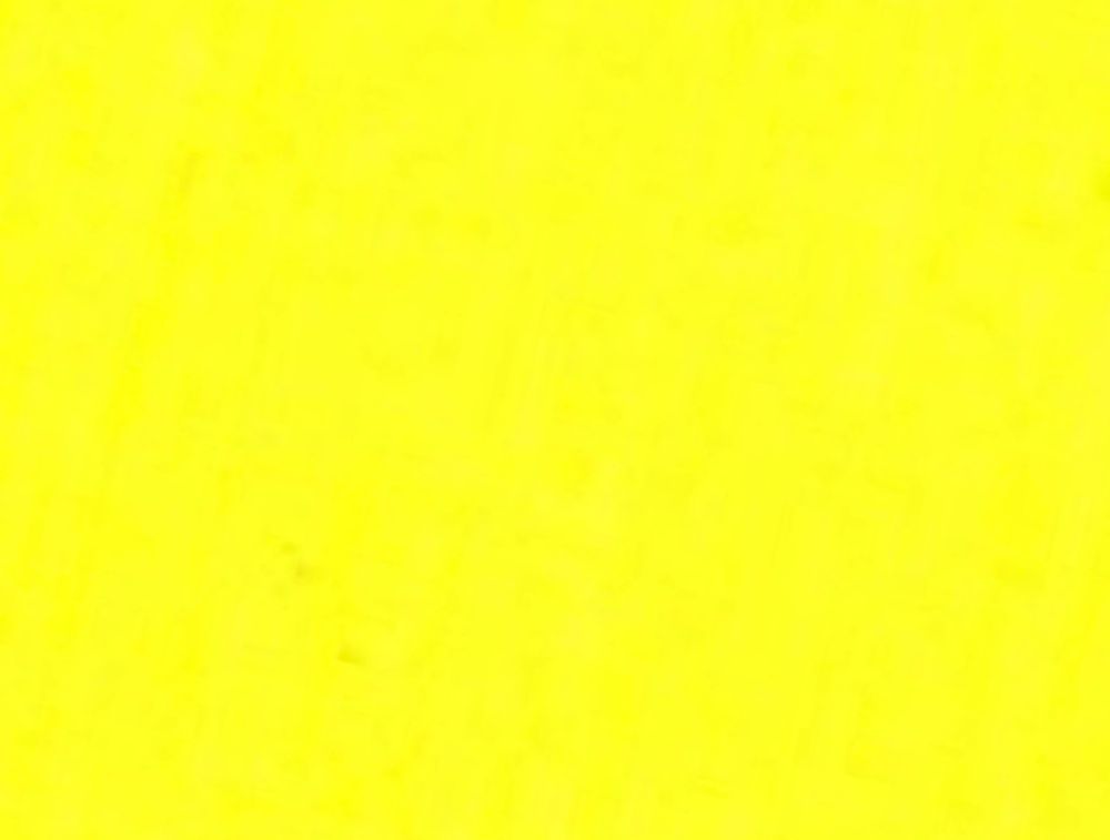 guccinmuri OnlyFans profile picture