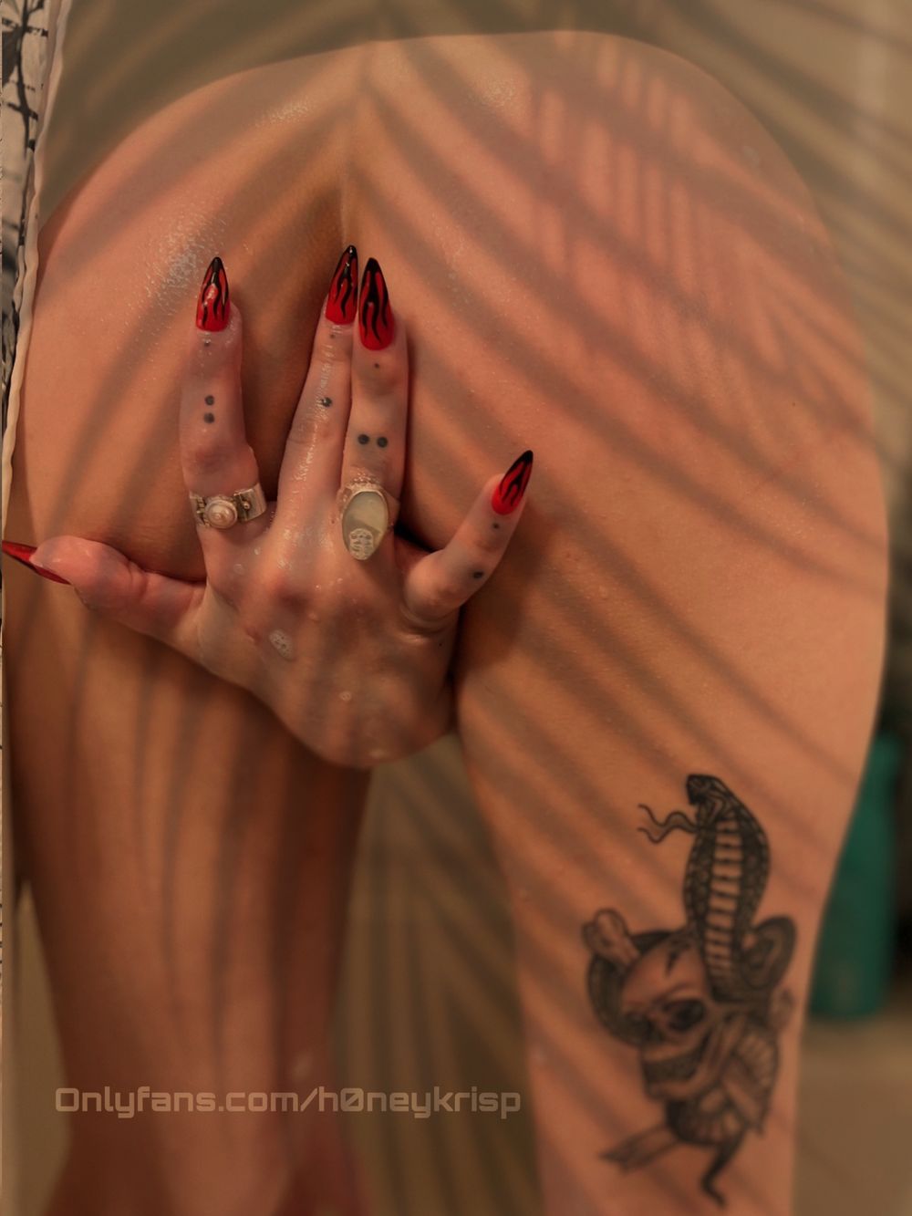 h0neykrisp OnlyFans profile picture