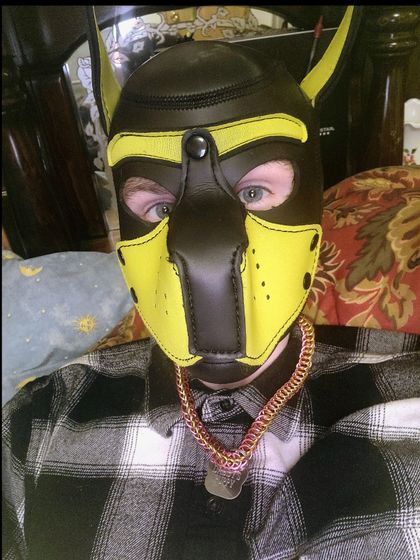 pup415 OnlyFans picture