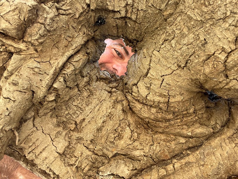 fladan OnlyFans profile picture