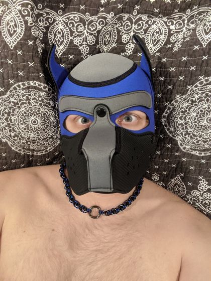 pupgoose OnlyFans picture