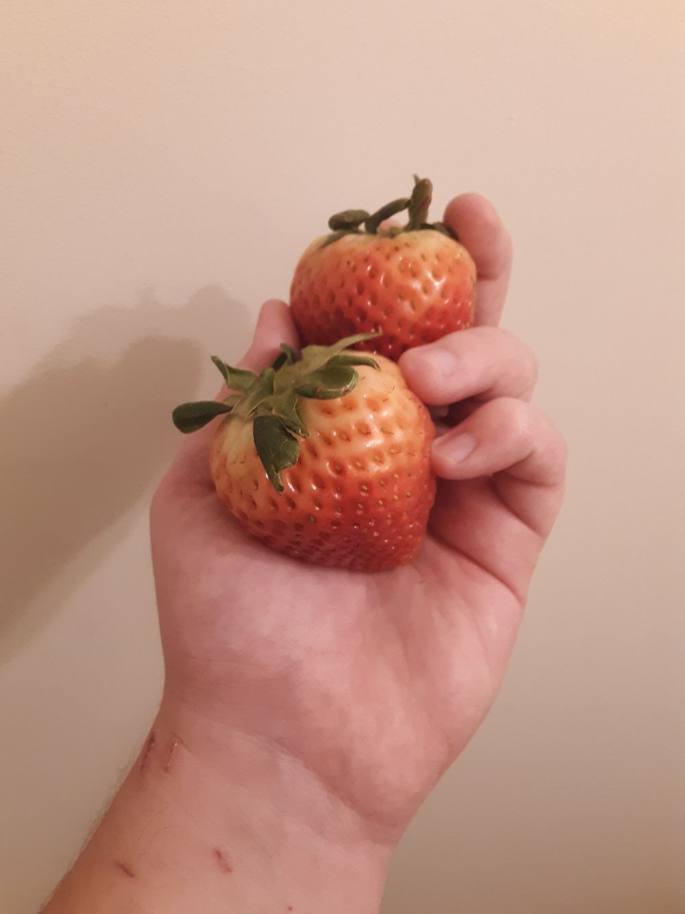 transboigamer OnlyFans profile picture