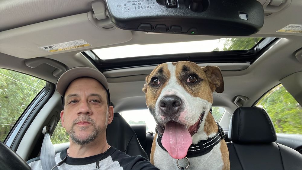 stevievep OnlyFans profile picture