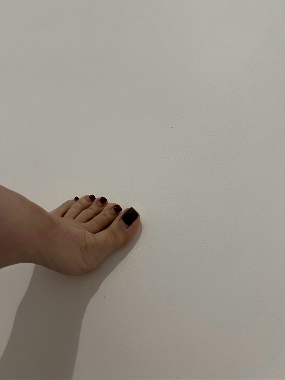 unlockmyfeet OnlyFans profile picture