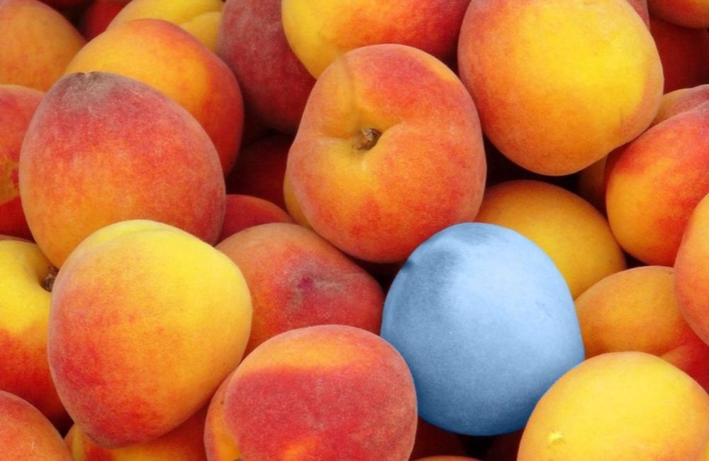 blue_peach OnlyFans profile picture