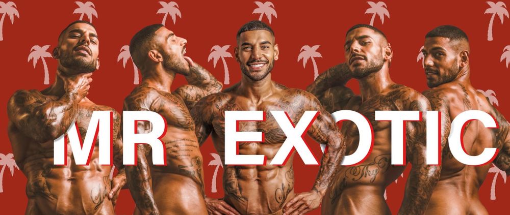 therealmrexotic OnlyFans profile picture
