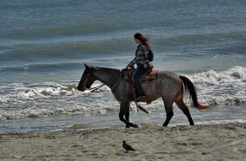 taylerbreanne71 OnlyFans - Free Trial - Photos - Socials | FansMetrics.com