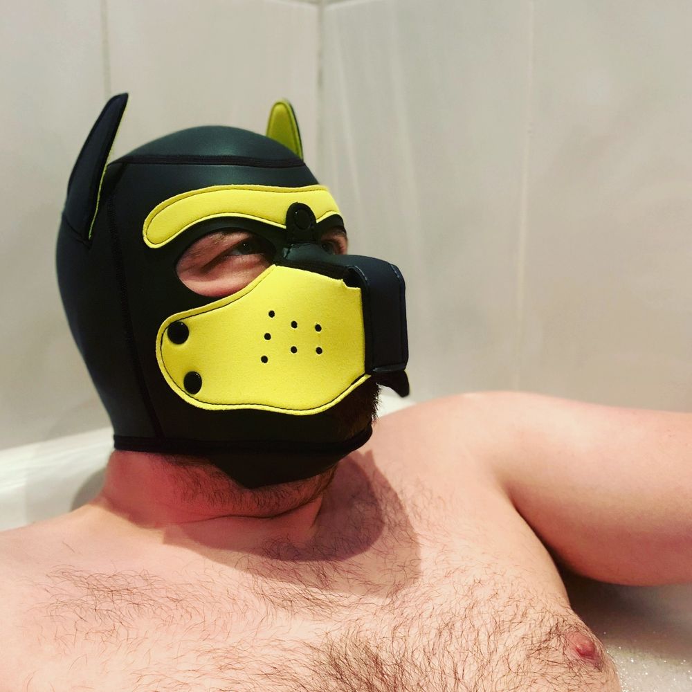 pupboltund OnlyFans profile picture